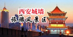 GoGo偷拍美女尿尿中国陕西-西安城墙旅游风景区